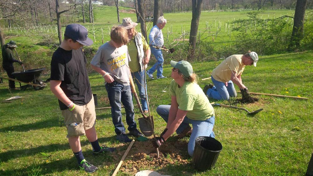 2016 volunteer tree planting