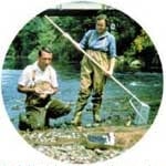 Ruth Patrick and an assistant gather samples on one of her pioneering stream studies.