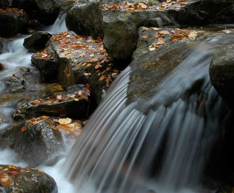 A stream cascade in Lofty Creek, Pennsylvania.