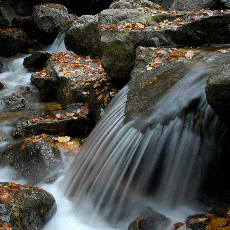 A stream cascade in Lofty Creek, Pennsylvania.