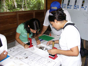 Macroinvertebrate identification workshop in Peru.