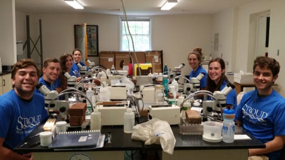 2017 Entomology summer interns