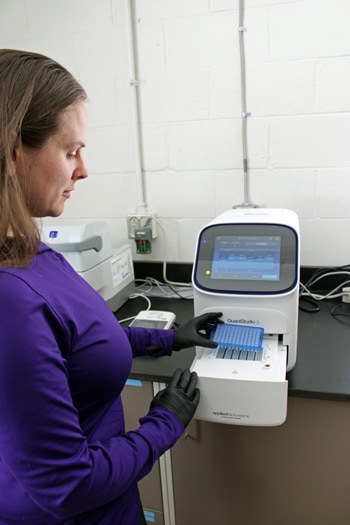 Laura Zgleszewski uses the qPCR machine