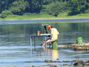 Jan Battle sorting aquatic insects on the banks of the Mehoopany River.