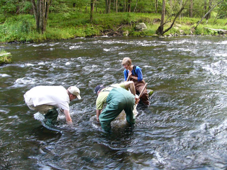 Three individuals taking samples in a stream.