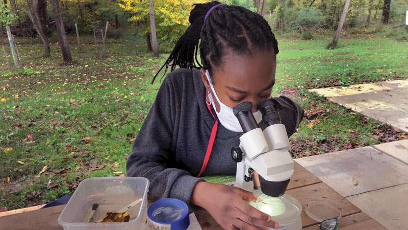 A student peers into a microscope to examine an aquatic macroinvertebrate, an indicator of stream health.