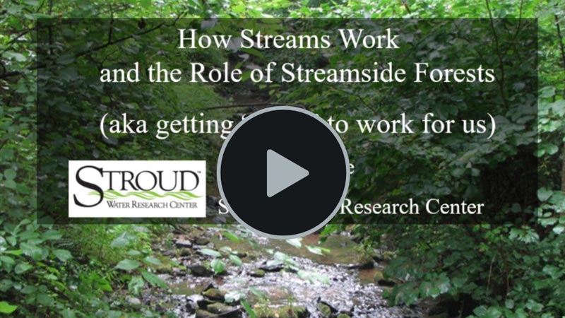 How Streams Work and the Role of Forests