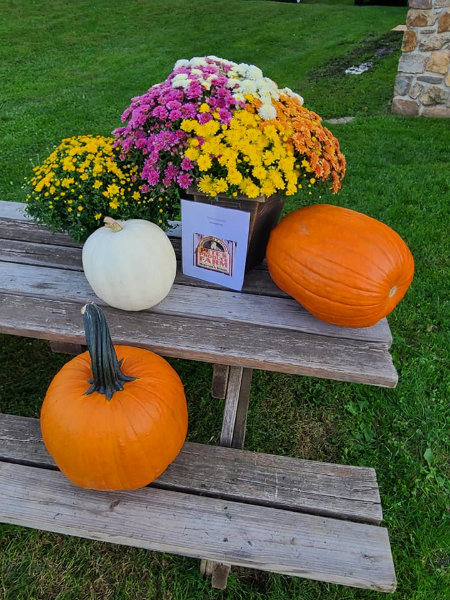 Colorful chrysanthemums and pumpkins decorate a picnic table at an outdoor festival.