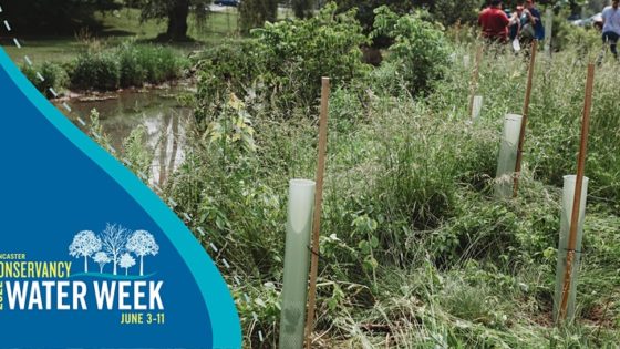 2022 Lancaster Water Week Stream Care Workday