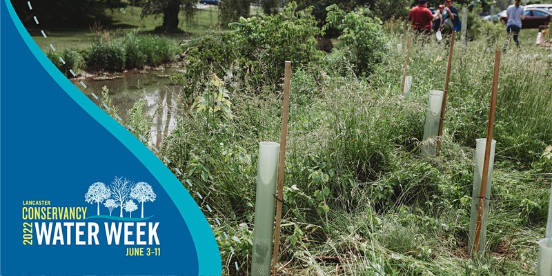 2022 Lancaster Water Week Stream Care Workday