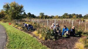 Volunteers planting native plants at Overlook Park.