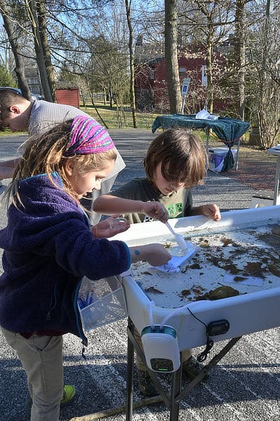 Two children study aquatic insects in a touch tank.