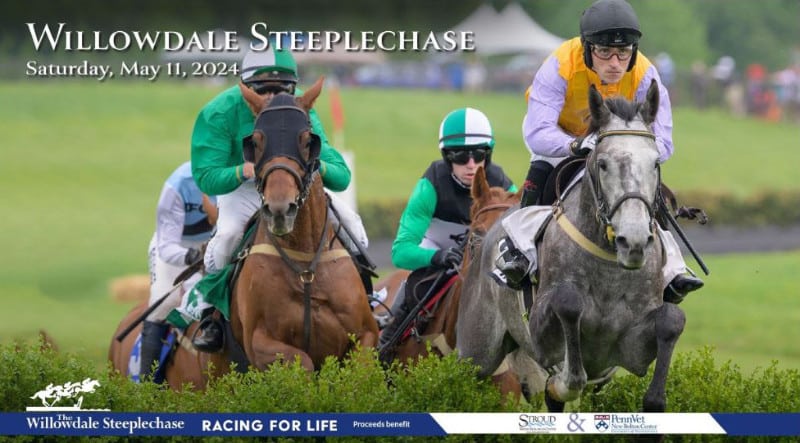 Four horses with rider jump during a steeplechase race.