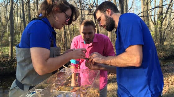 Two scientists and a TV weatherman look at a crayfish captured from White Clay Creek.