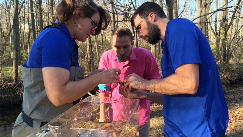 Two scientists and a TV weatherman look at a crayfish captured from White Clay Creek.