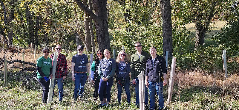 A group of volunteers from M&T Bank stand near newly planted trees in tree shelters.