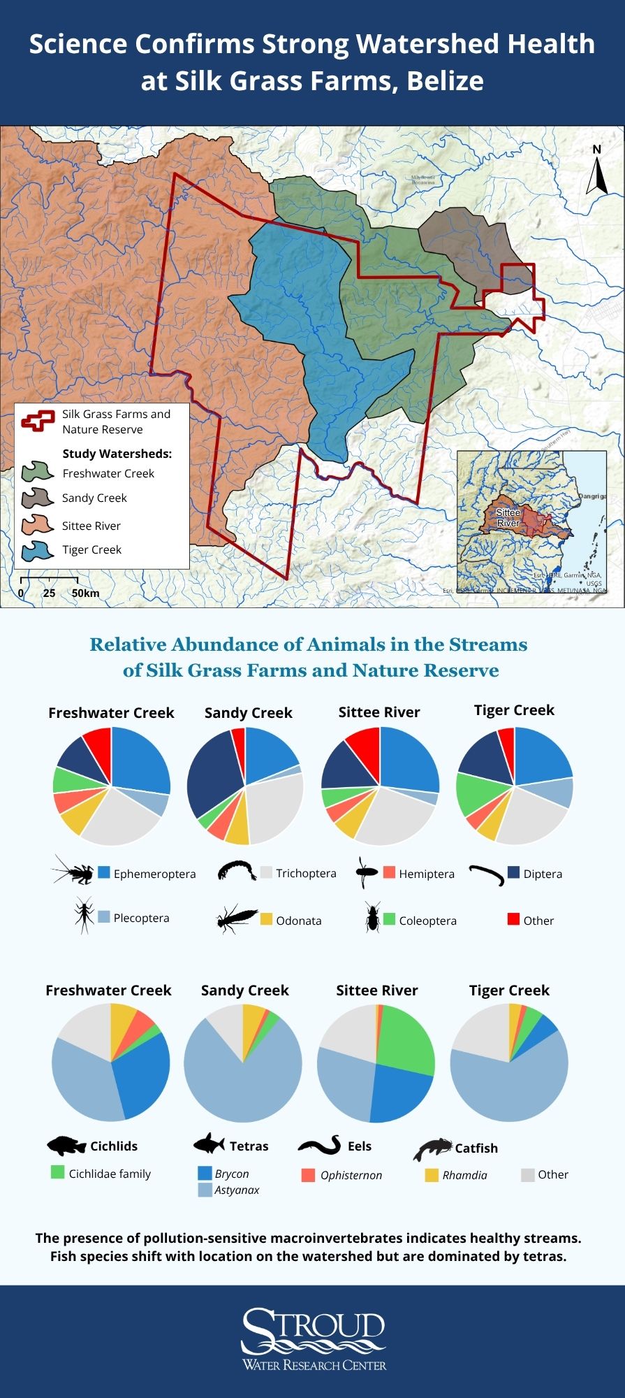 Infographic with a map and species abundance data confirming strong watershed health at Silk Grass Farms, Belize.