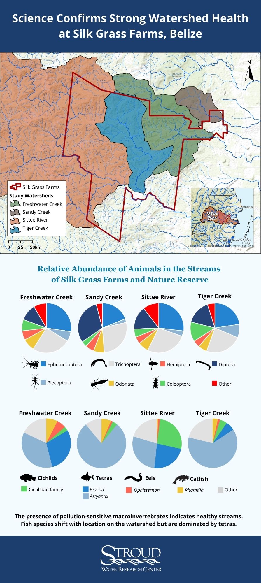 Infographic with a map and species abundance data confirming strong watershed health at Silk Grass Farms, Belize.