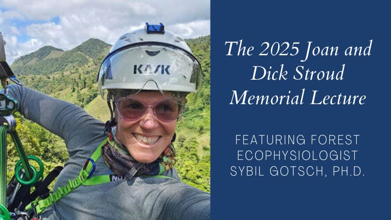 The 2025 Joan and Dick Stroud Memorial Lecture featuring forest ecophysiologist Sybil Gotsch, Ph.D.