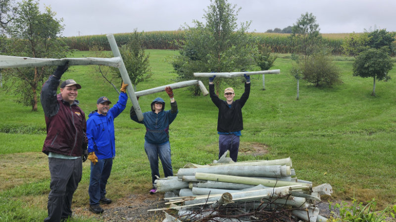 Four Resolution Life volunteers work with tree tubes in a forested buffer.