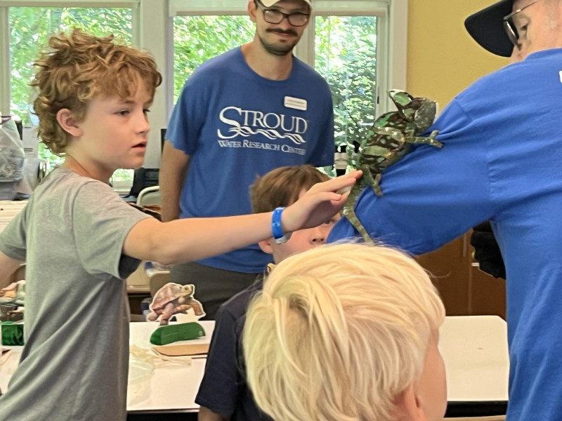 Summer campers meet a chameleon.