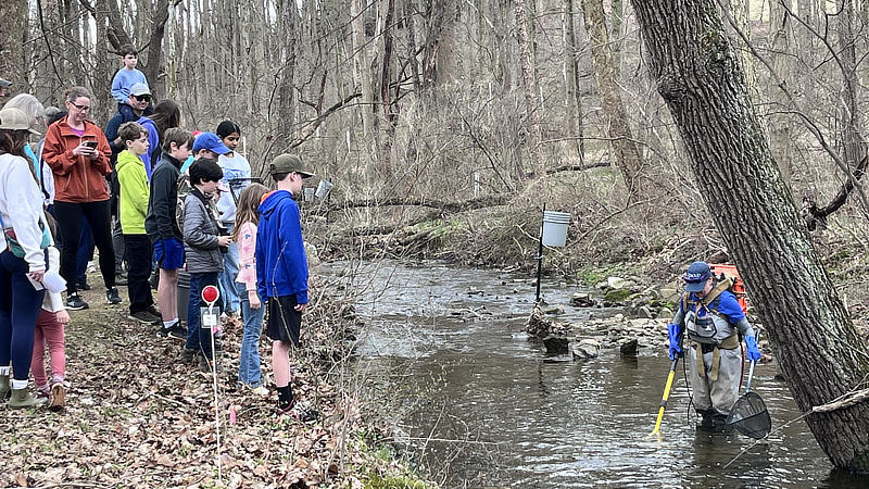 Families watch a scientist collect fish from White Clay Creek at World Water Day.