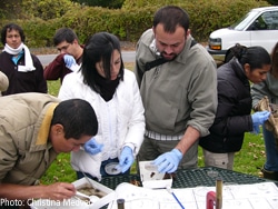 Participants identify and count the insects present in the water sample to assess stream health.