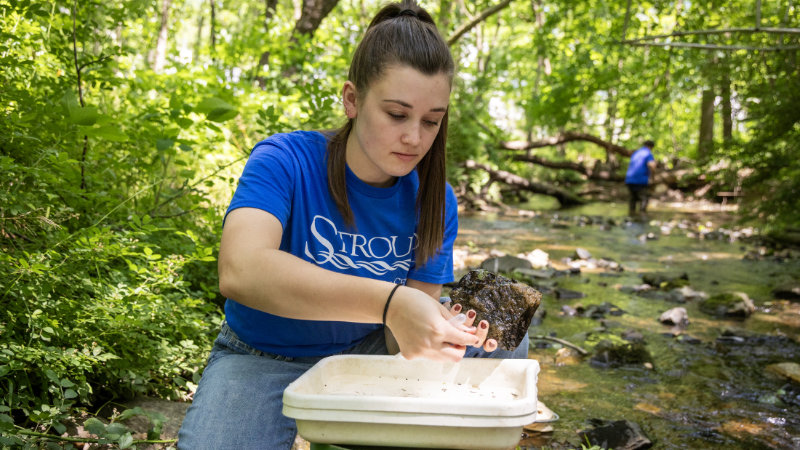 Abigail Duimering samples macroinvertebrates in White Clay Creek.