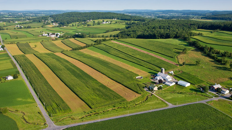 Aerial view of Hammertown Run flowingthrough farmland.