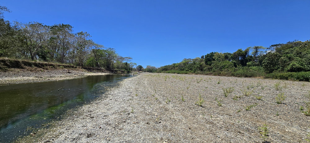 Ario River in Belize, showing low water levels and algae mats.