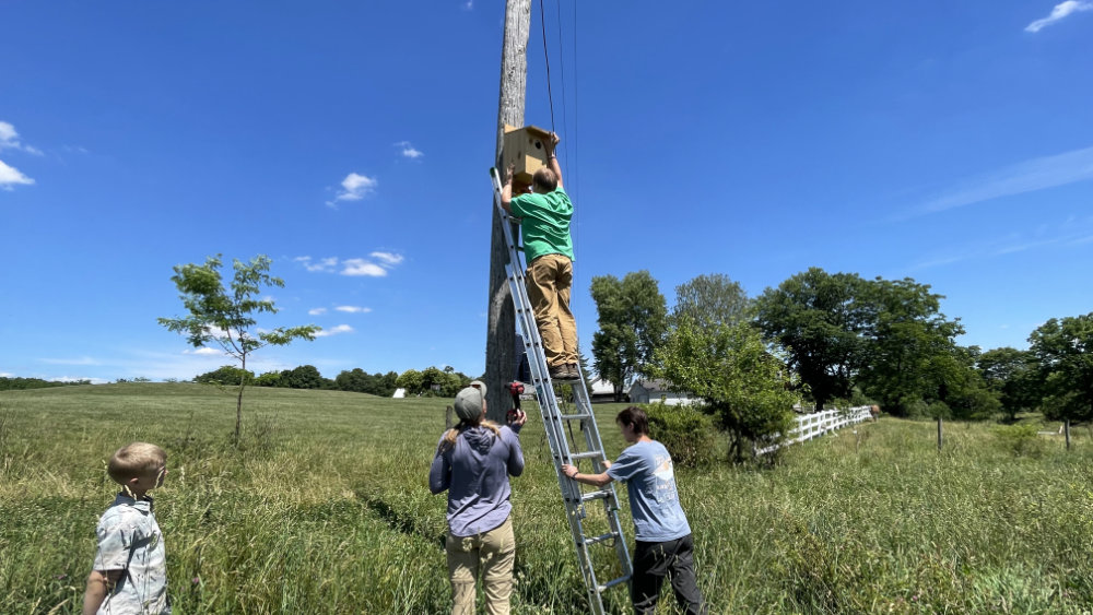 Conservation science trainees attach an American kestrel nest box to a pole as a landowner's child looks on.