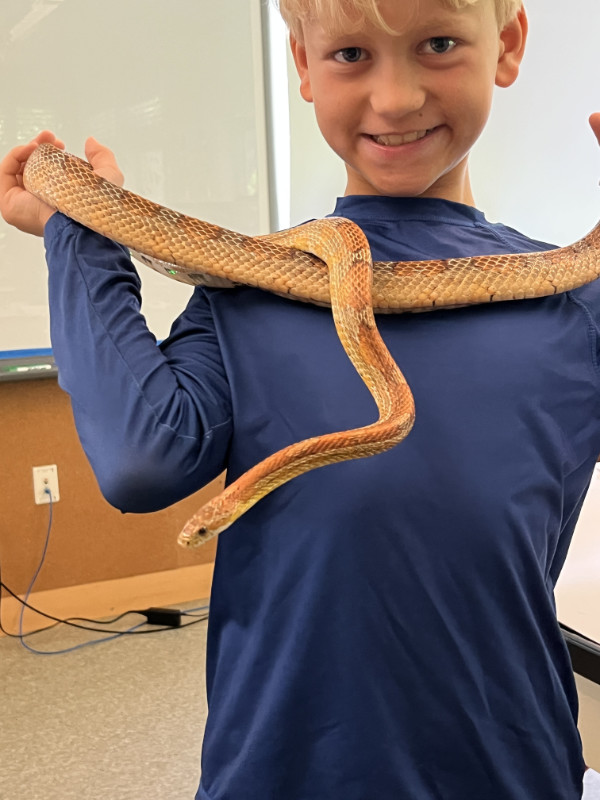 A child smiles while holding a corn snake at summer camp.