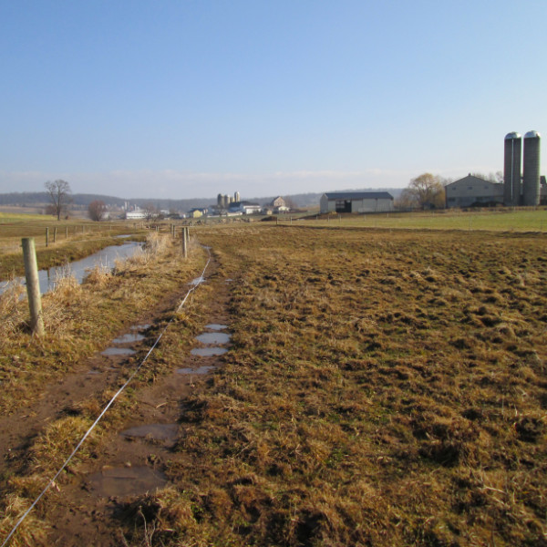 Farmland in 2014, before a riparian buffer was planted.