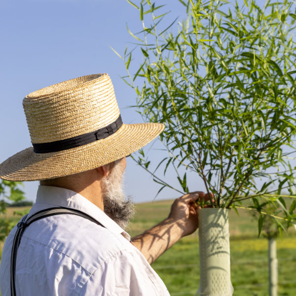 David Smucker cares for the trees on his property