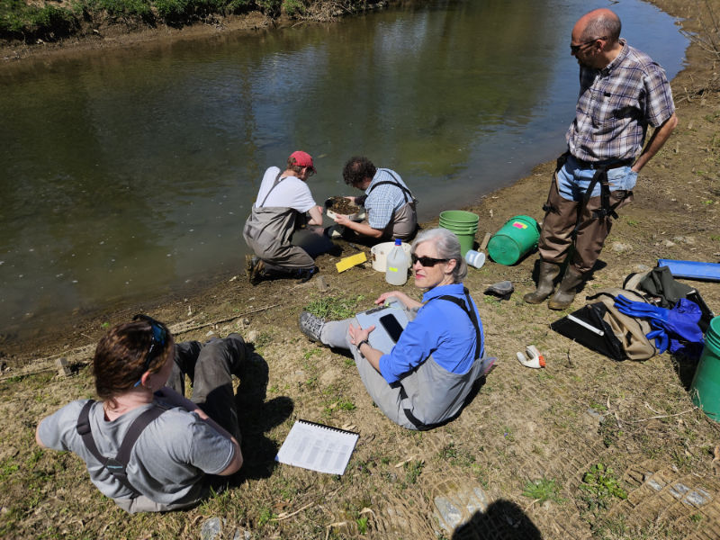 Franklin & Marshall College and the Stroud Center scientists working together on a macroinvertebrate sampling.