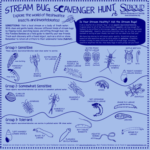 A bandana printed with pictures and text for a stream bug scavenger hunt.