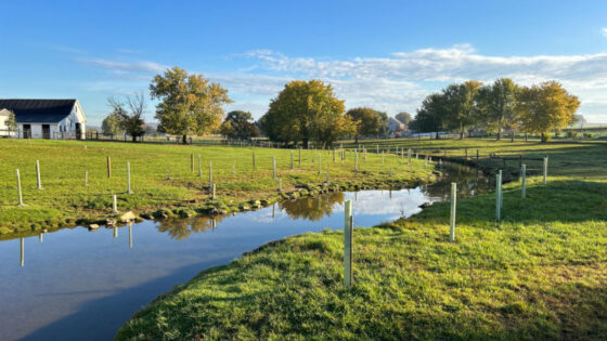 Gordonville farm buffer installed fall 2023.