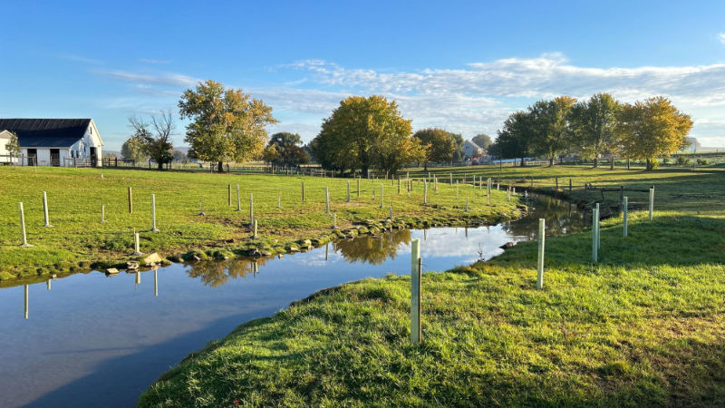Gordonville farm buffer installed fall 2023.