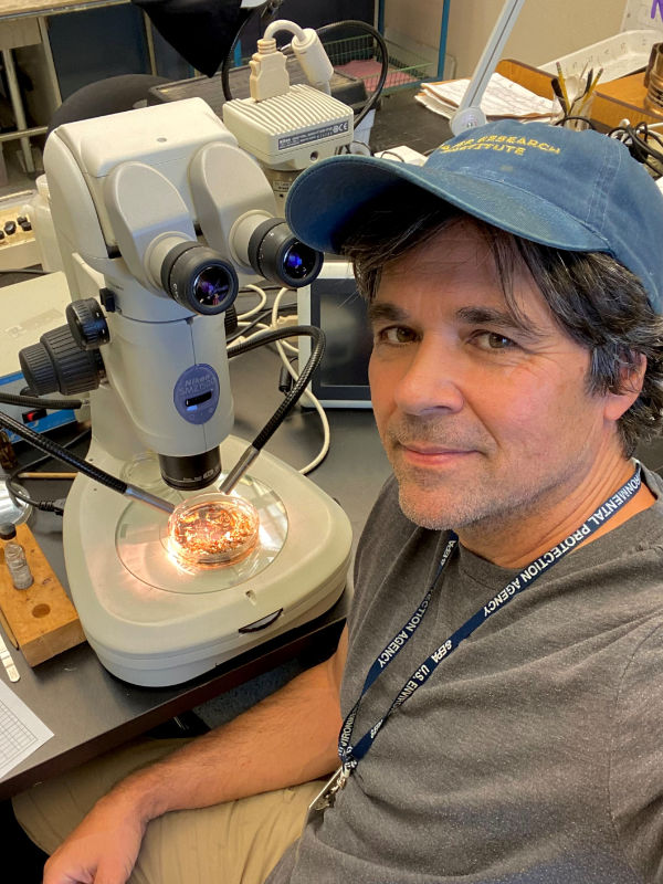 Greg Pond identifies macroinvertebrates under microscope.