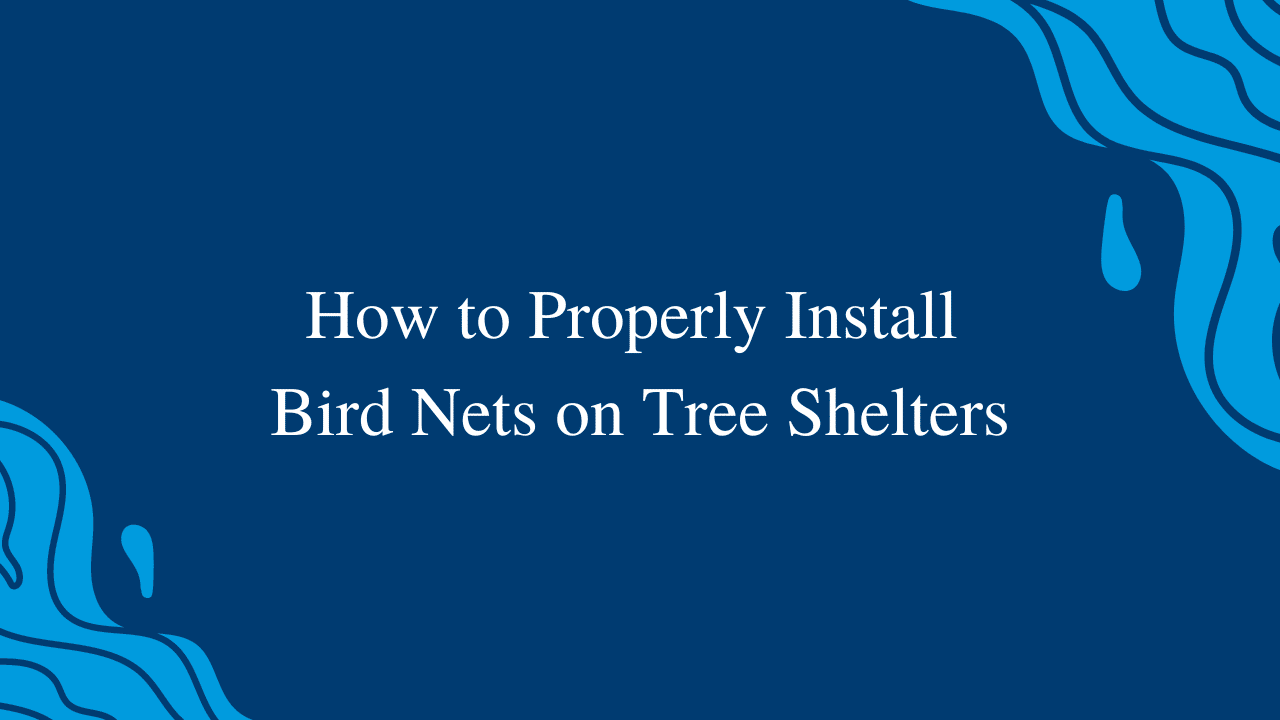 How to Properly Install Bird Nets on Tree Shelters