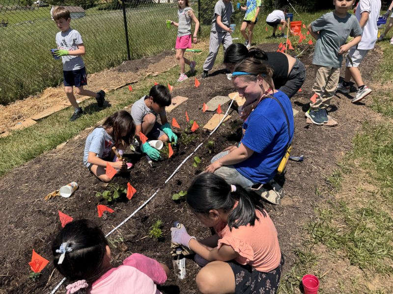 Kids plant a pollinator garden at school.