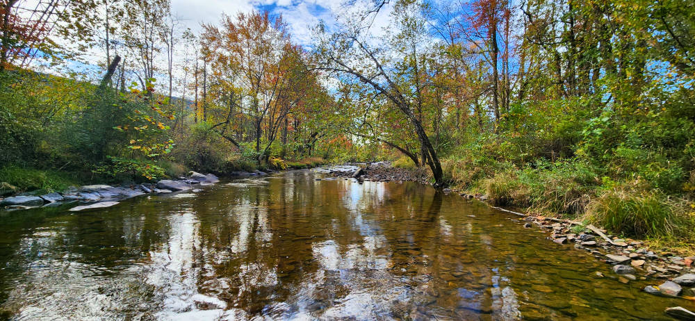 Lizard Creek in Pennsylvania, with fall foliage and blue skies.