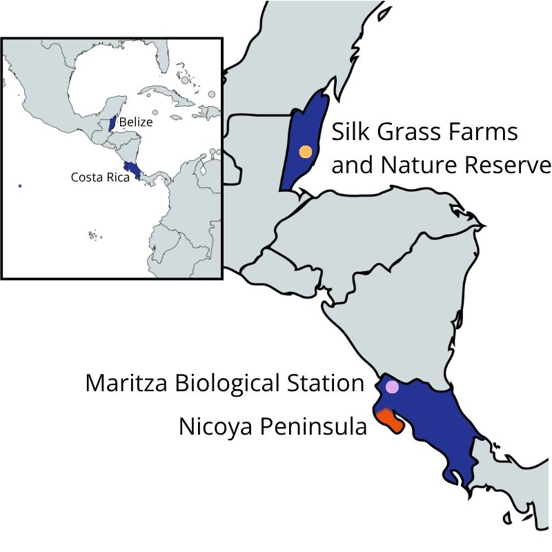 Map of Silk Grass Farms and CIRENA research projects in Belize and Costa Rica.
