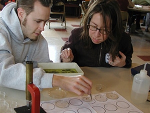 Two teachers sorting and identifying aquatic macroinvertebrates in a lab.