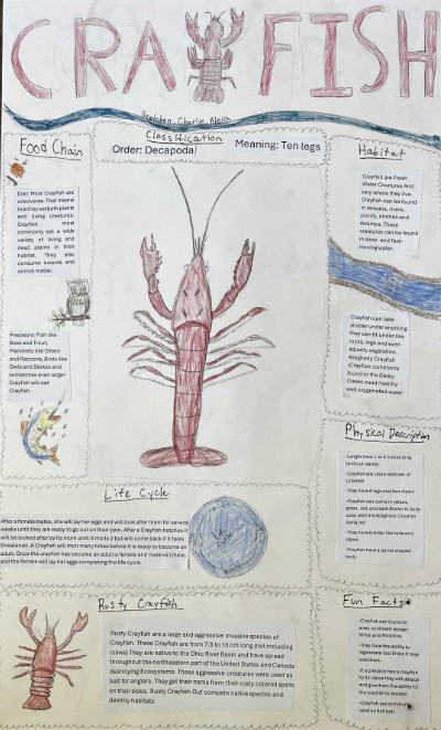 Middle school macroinvertebrate poster featuring crayfish.