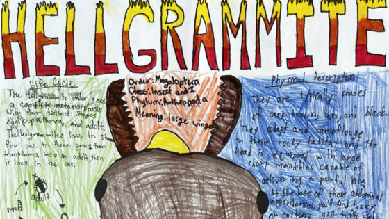 Closeup of a Radnor MS macroinvertebrate poster featuring a hellgrammite.