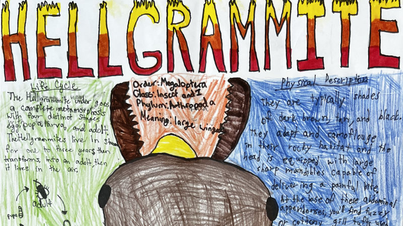 Closeup of a Radnor MS macroinvertebrate poster featuring a hellgrammite.