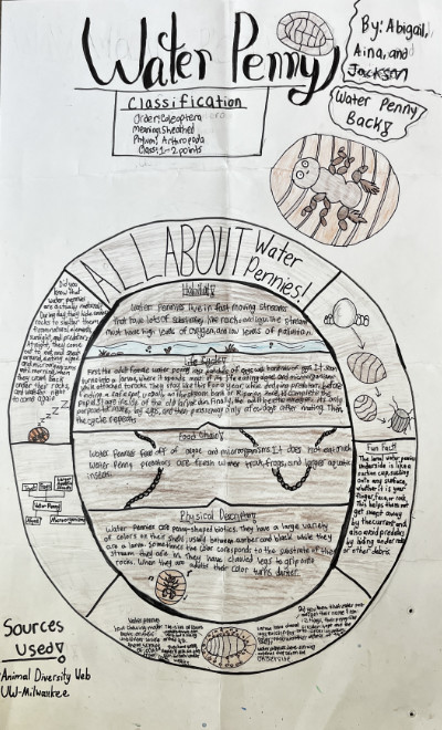 Middle school macroinvertebrate poster featuring water pennies.