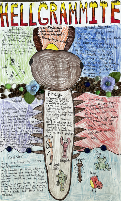 Middle school macroinvertebrate poster featuring hellgrammites.