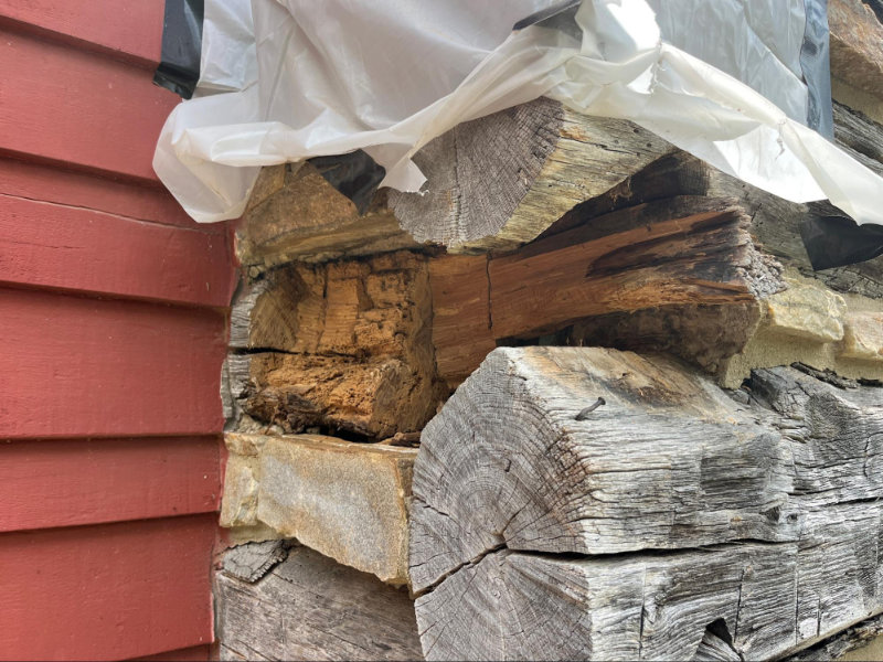 Replacing dry-rotted logs in the historic cabin.
